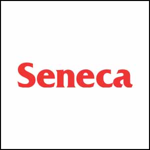 convert-vhs-to-digital-seneca